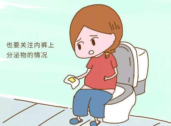 不同类型阴道炎的症状介绍