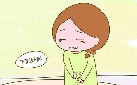 哪些女性是阴道炎的高发人群