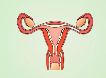 女性患阴道炎去哪里看好在盐城